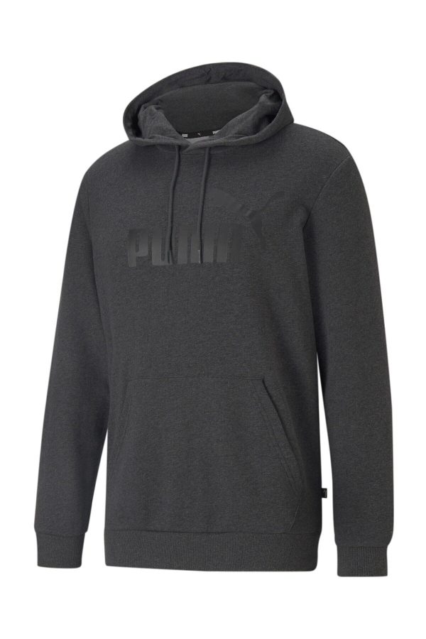 Puma Erkek Füme Kapüşonlu Sweatshirt