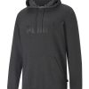 Puma Erkek Füme Kapüşonlu Sweatshirt