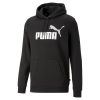 Puma Erkek Kapüşonlu Sweatshirt