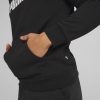 Puma Erkek Kapüşonlu Sweatshirt