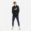Puma Essential Big Logo Hoodie Erkek Siyah Günlük Stil Sweatshirt