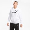 Puma Erkek Essentials Big Logo Sweatshirt