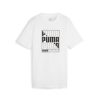 Puma Erkek Regular Fit Graphics Tişört