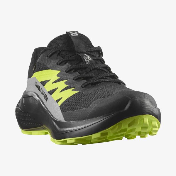 Salomon Erkek Alphaglıde Gore-tex Ayakkabı