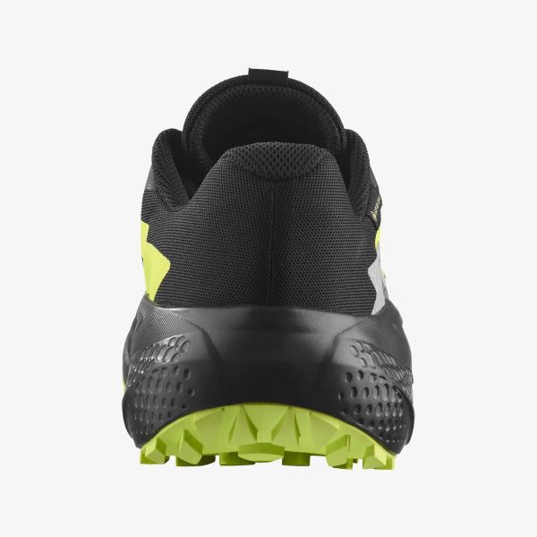 Salomon Erkek Alphaglıde Gore-tex Ayakkabı