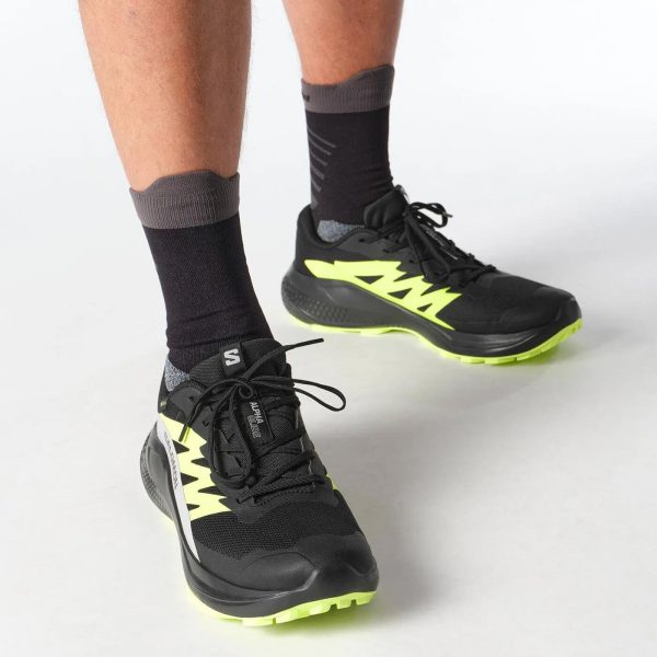 Salomon Erkek Alphaglıde Gore-tex Ayakkabı