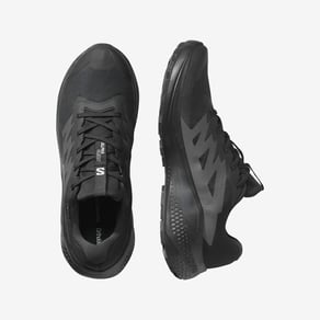 Salomon Erkek Goretex Alphaglide Gtx