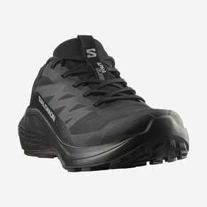 Salomon Erkek Goretex Alphaglide Gtx