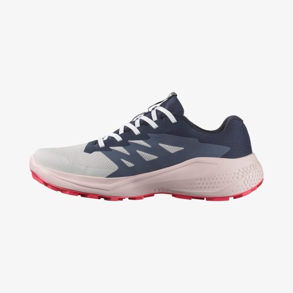 Salomon Unisex Alphaglıde Gore-tex