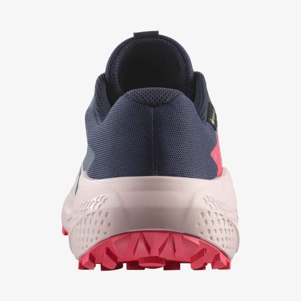 Salomon Unisex Alphaglıde Gore-tex