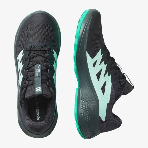 Salomon Unisex Alphaglıde Gore-tex Ayakkabı