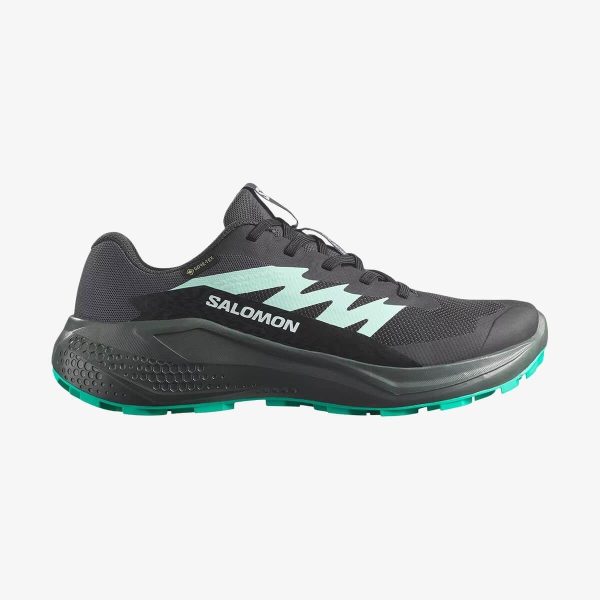 Salomon Unisex Alphaglıde Gore-tex Ayakkabı