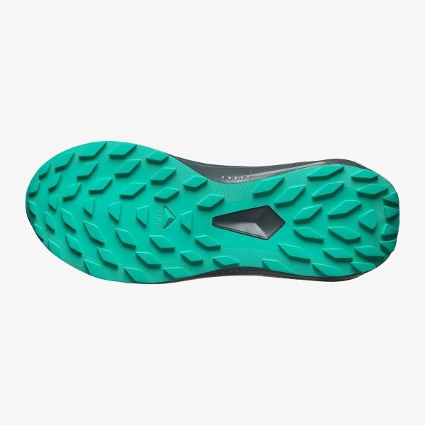 Salomon Unisex Alphaglıde Gore-tex Ayakkabı