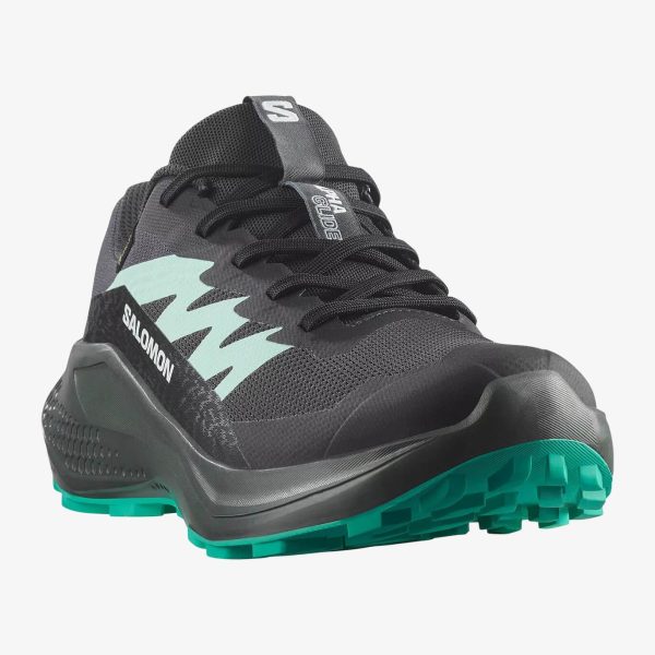 Salomon Unisex Alphaglıde Gore-tex Ayakkabı