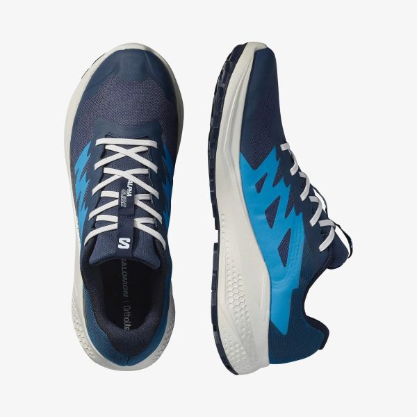 Salomon Erkek Alphaglıde Gore-tex Ayakkabı