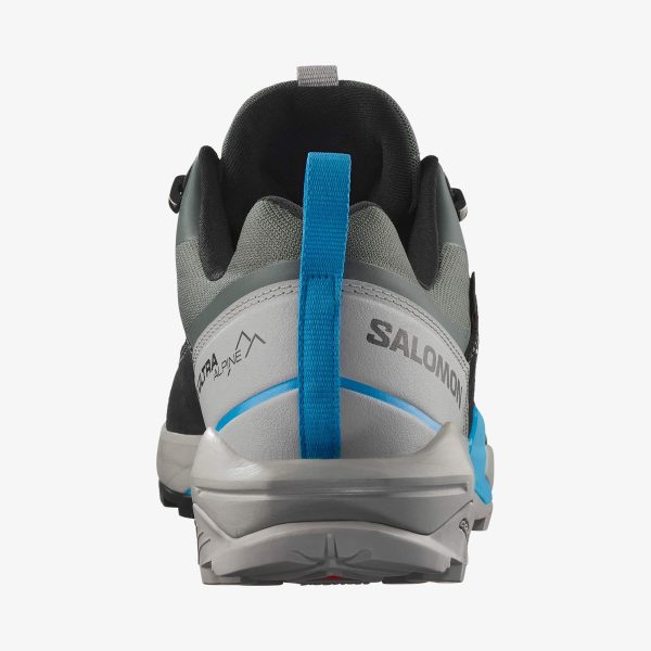 Salomon Erkek X Ultra Alpıne Gore-tex Ayakkabı